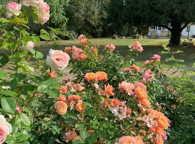 Privative Abella - Aile De Maison Bourgeoise